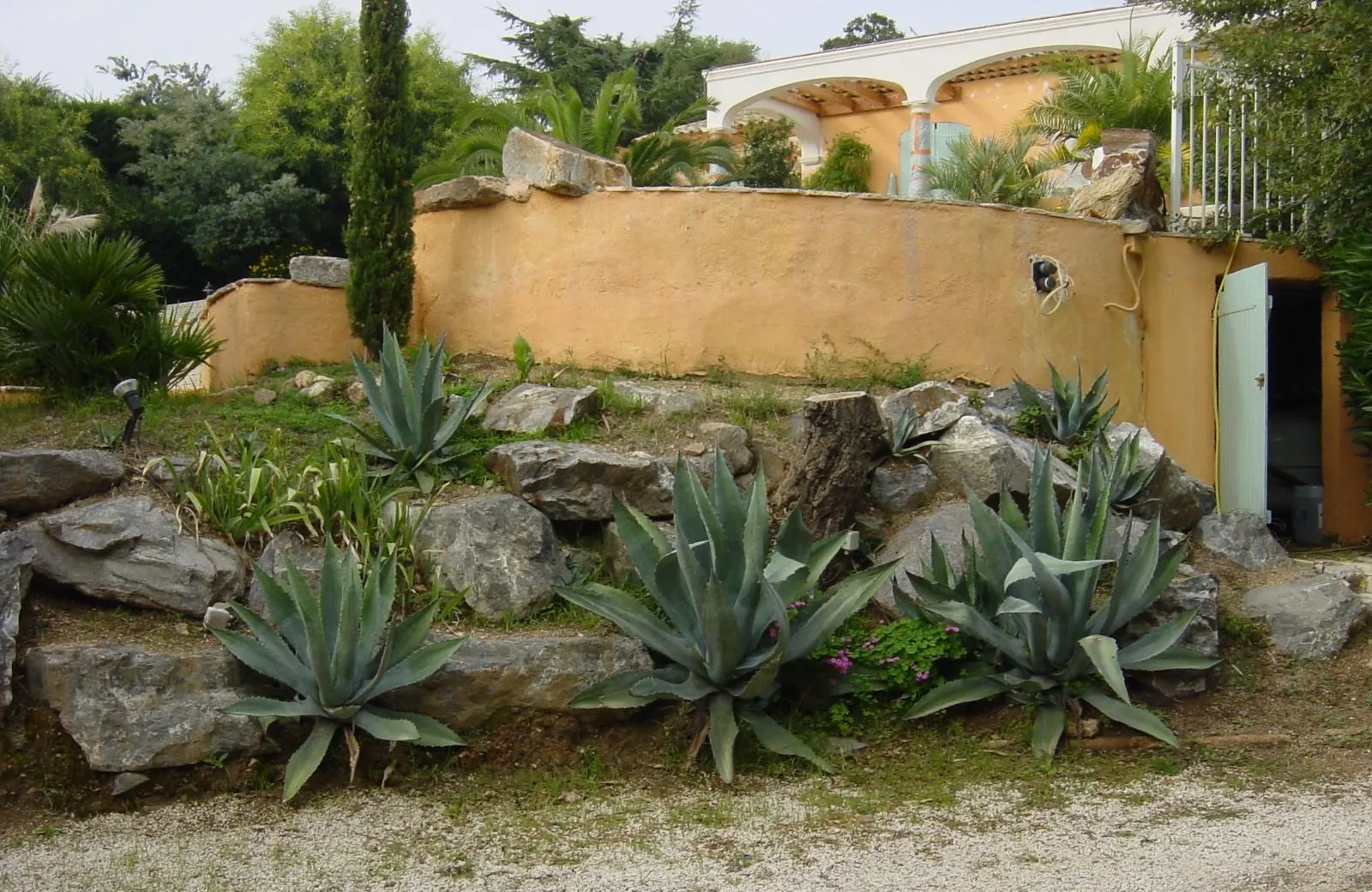 Avant : talus d'agaves avant les travaux